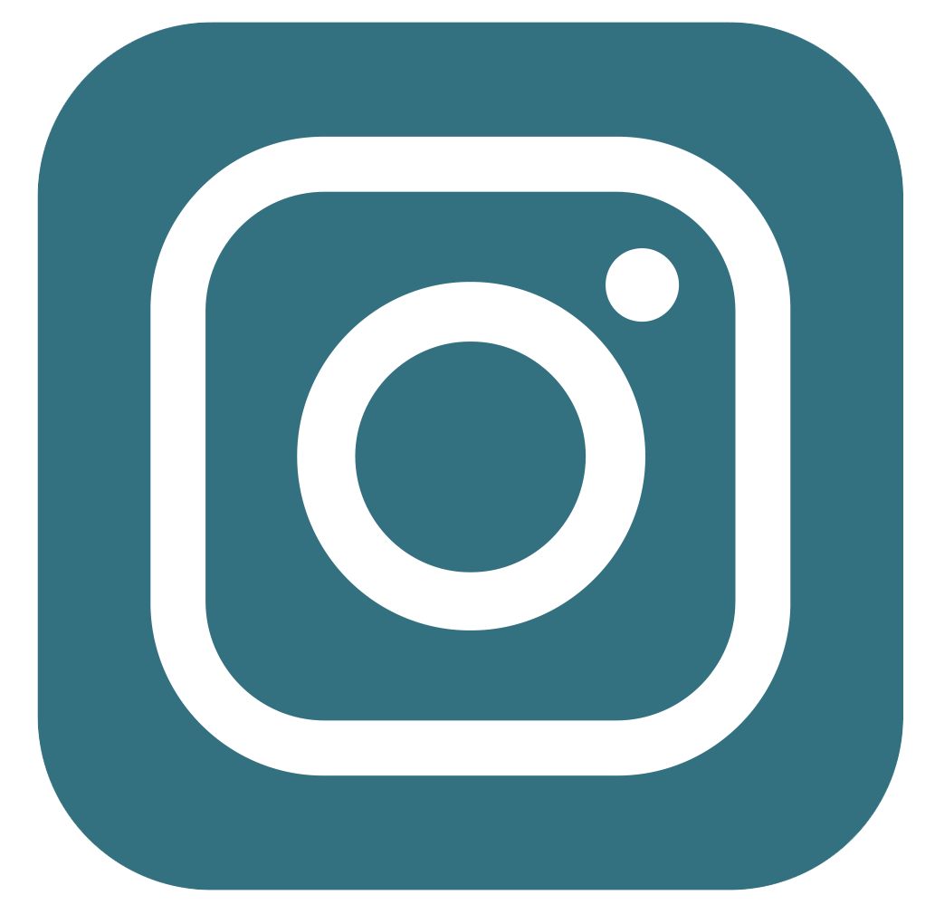 Instagram Icon