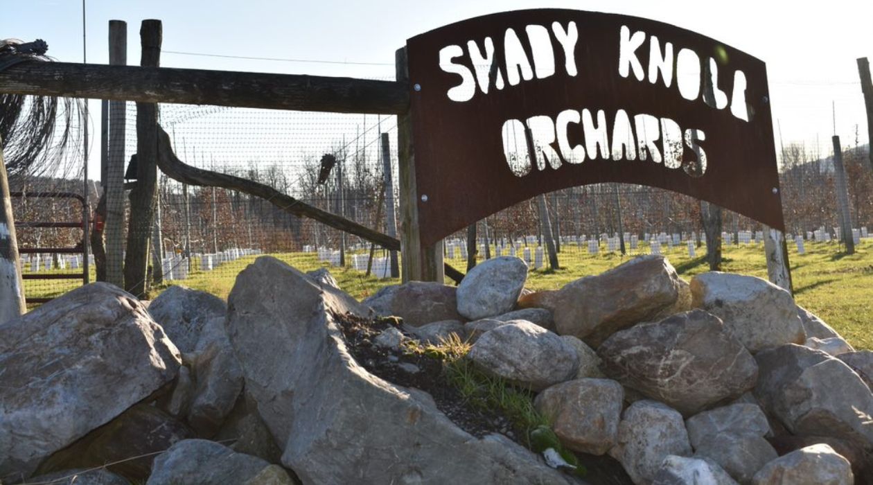 Shady Knoll Orchards and Distillery