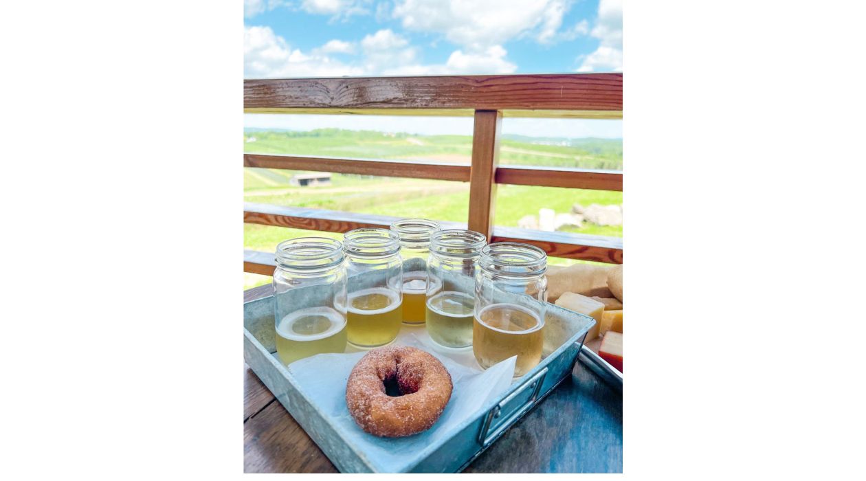 One apple cider donut and cider at Fishkill Farms