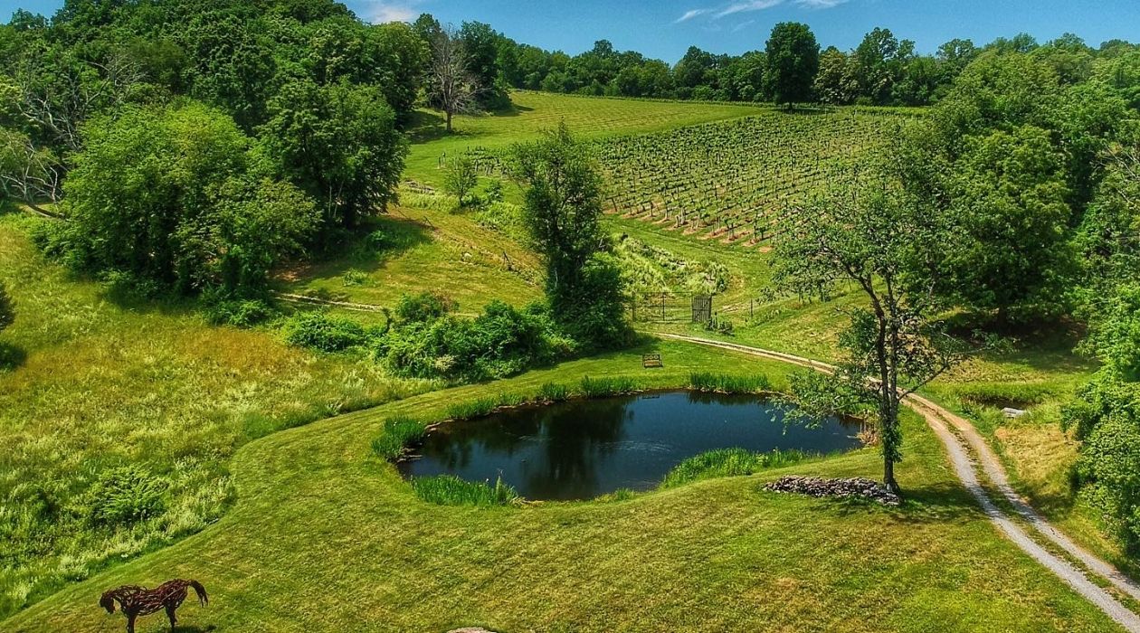 Aerial view of Clinton Vineyards and a shimmering lake
