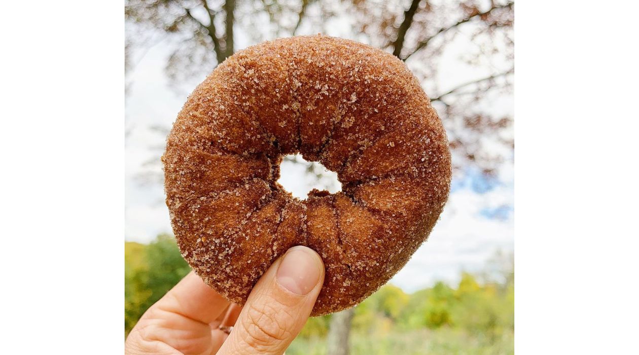 Dykeman Farm apple cider donut