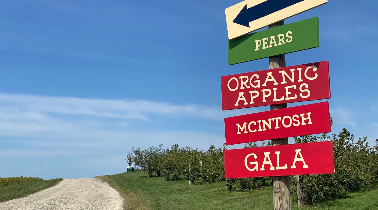 Signs for apple picking in orchard