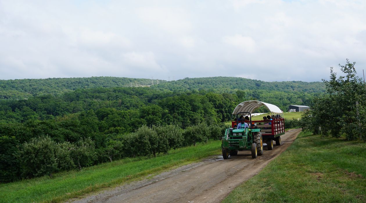 Wagon on a scenic road hauling apples at Fishkill Farms
