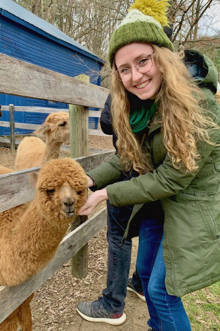 Girl with alpaca at Lilymoore Farm