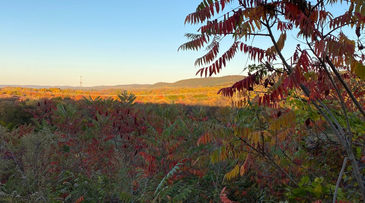 Leaves changing colors peak foliage at Fishkill Farms