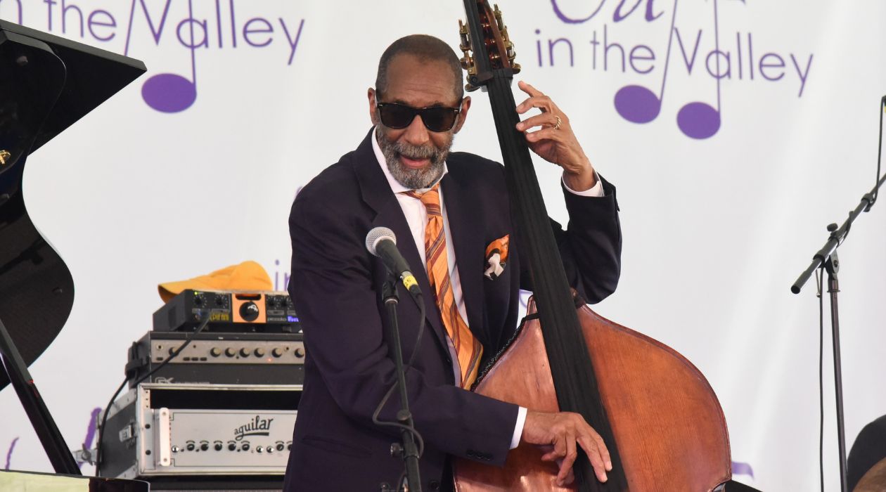 Single bassist on stage at Jazz in the Valley