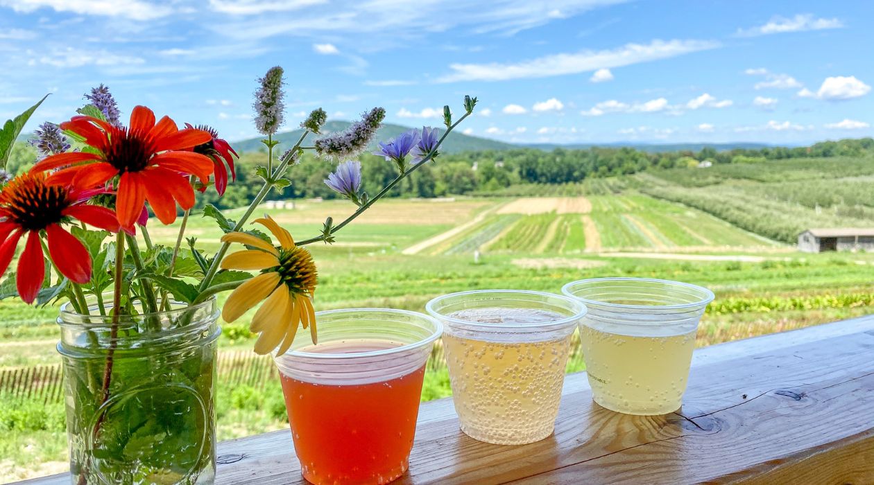 Cider flight in front of a view at Fishkill Farms